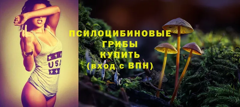 Галлюциногенные грибы Magic Shrooms  купить наркотик  Валдай 